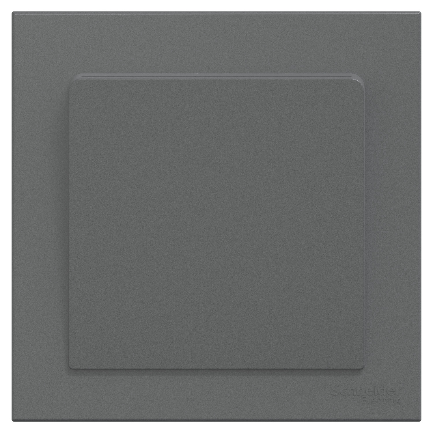 Schneider 施耐德 AvatarOn C 奐然 16A 附身份識別功能電子插卡開關掣(石墨灰)