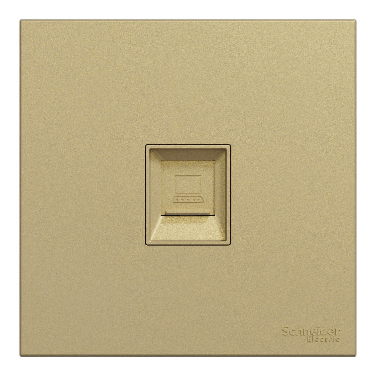 Schneider 施耐德 AvatarOn C 奐然 單位RJ45 5e類數據插座, Keystone面板備防塵活門(沉醉金)