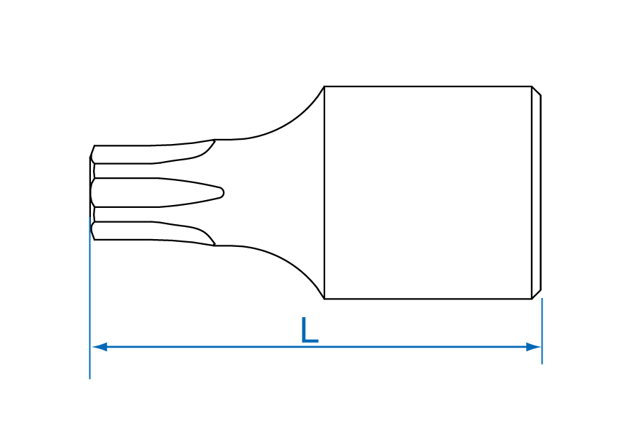 Manufacturer 2013X-series overall-length L schematic, not an exact-size product photograph. The 201309X specification is T9 with L = 25 mm.