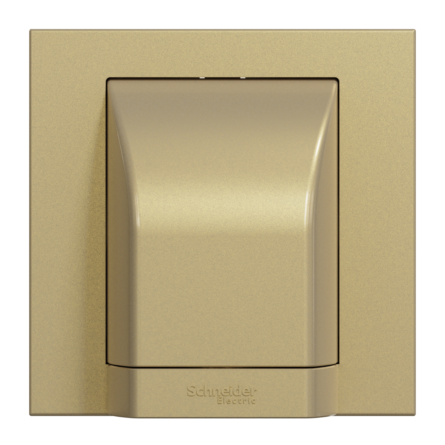 Schneider 施耐德 AvatarOn C 奐然 45A 單位接線蘇(沉醉金)