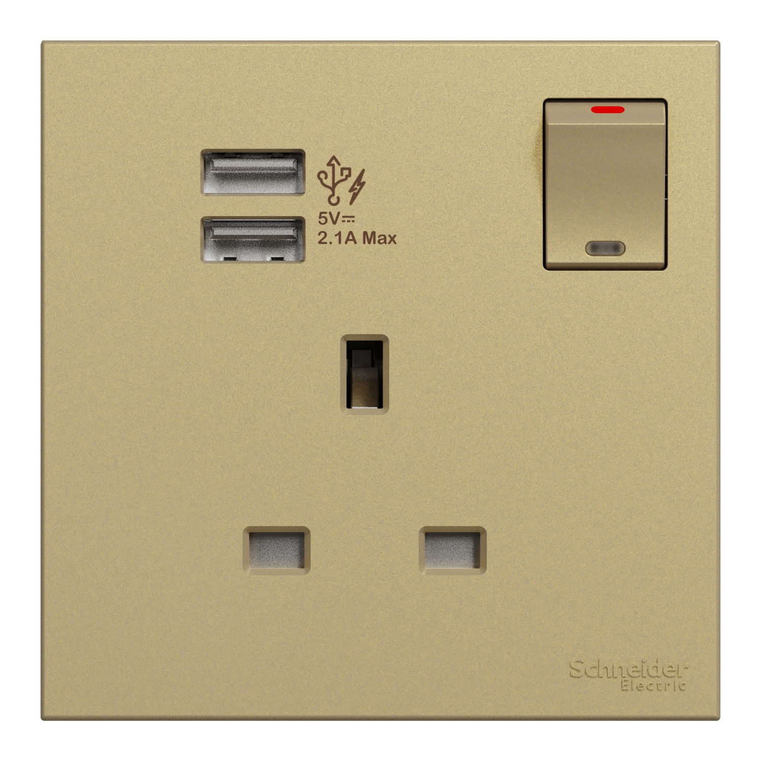 Schneider 施耐德 AvatarOn C 奐然 13A 單位連保護門有掣插座連兩位USB充電插座(沉醉金)