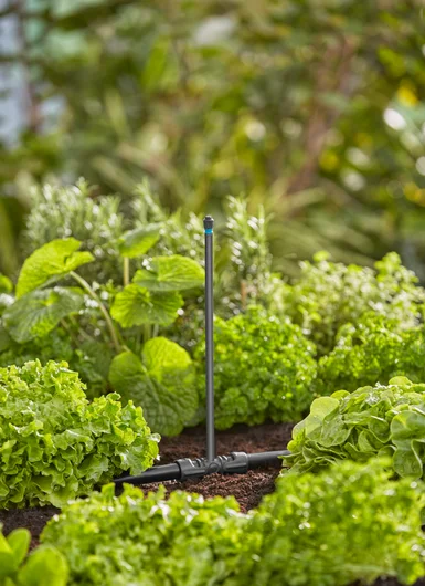 GARDENA 360° 噴霧噴嘴安裝於 13 mm 微滴灌溉連接喉