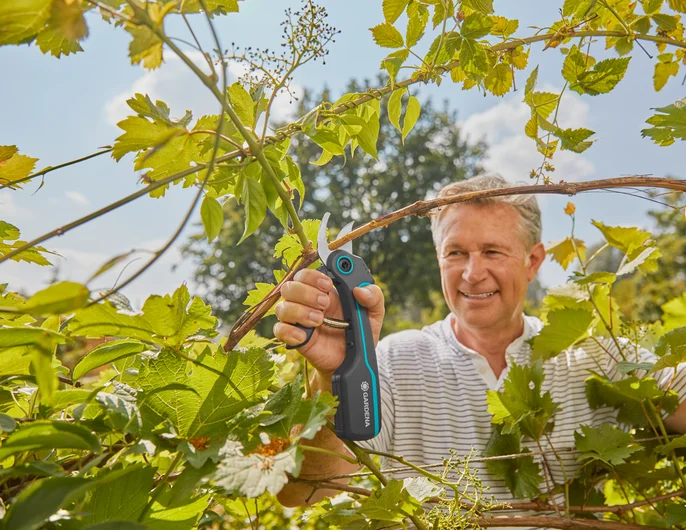 GARDENA AssistCut secateurs cutting a tree branch