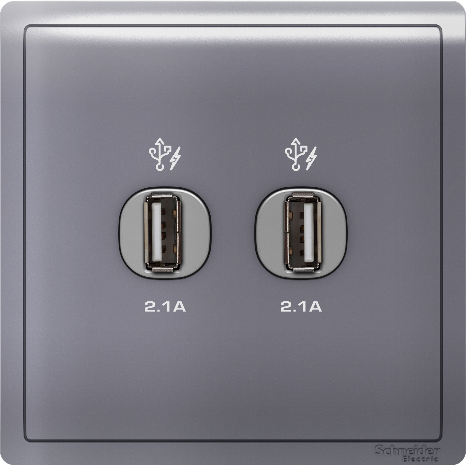 Schneider 施耐德 Pieno 丰尚 兩位2.1A USB充電插座(薰衣草銀)E8232USB_LS