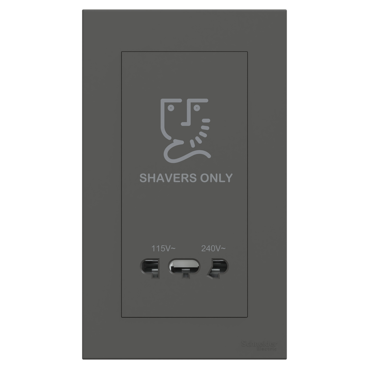 Schneider 施耐德 AvatarOn C 奐然 鬚刨插座 115V/240V(石墨灰)