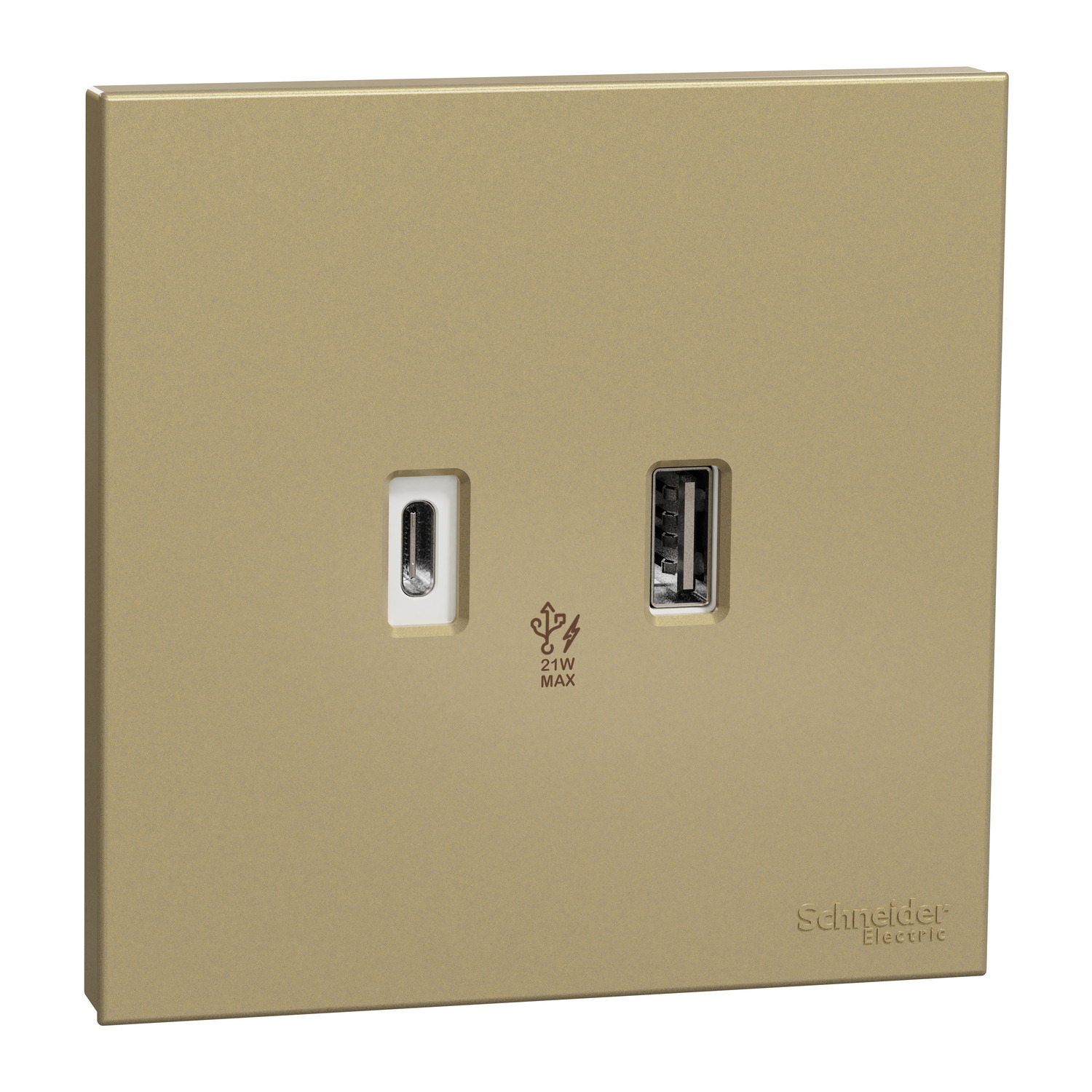 Schneider 施耐德 AvatarOn C 奐然 兩位Type A+C PD+QC3.0 USB充電插座(沉醉金)