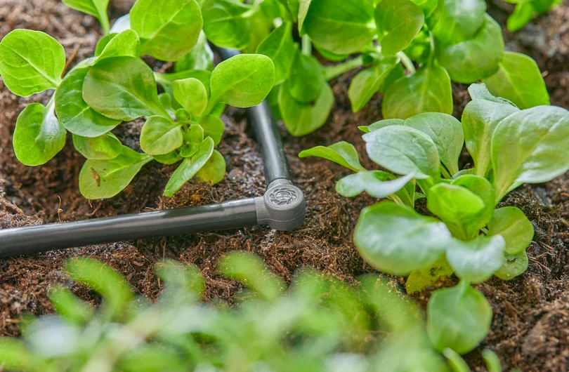 GARDENA 4.6 mm L 形接頭用於微滴灌管路轉向