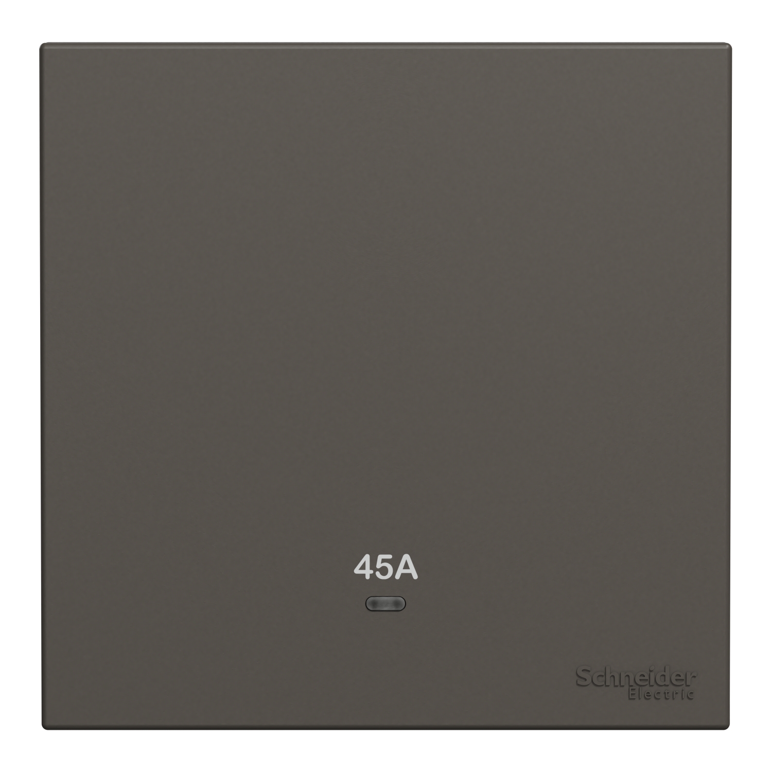 Schneider 施耐德 AvatarOn C 奐然 45A 單位雙極開關掣連LED指示燈(石墨灰)