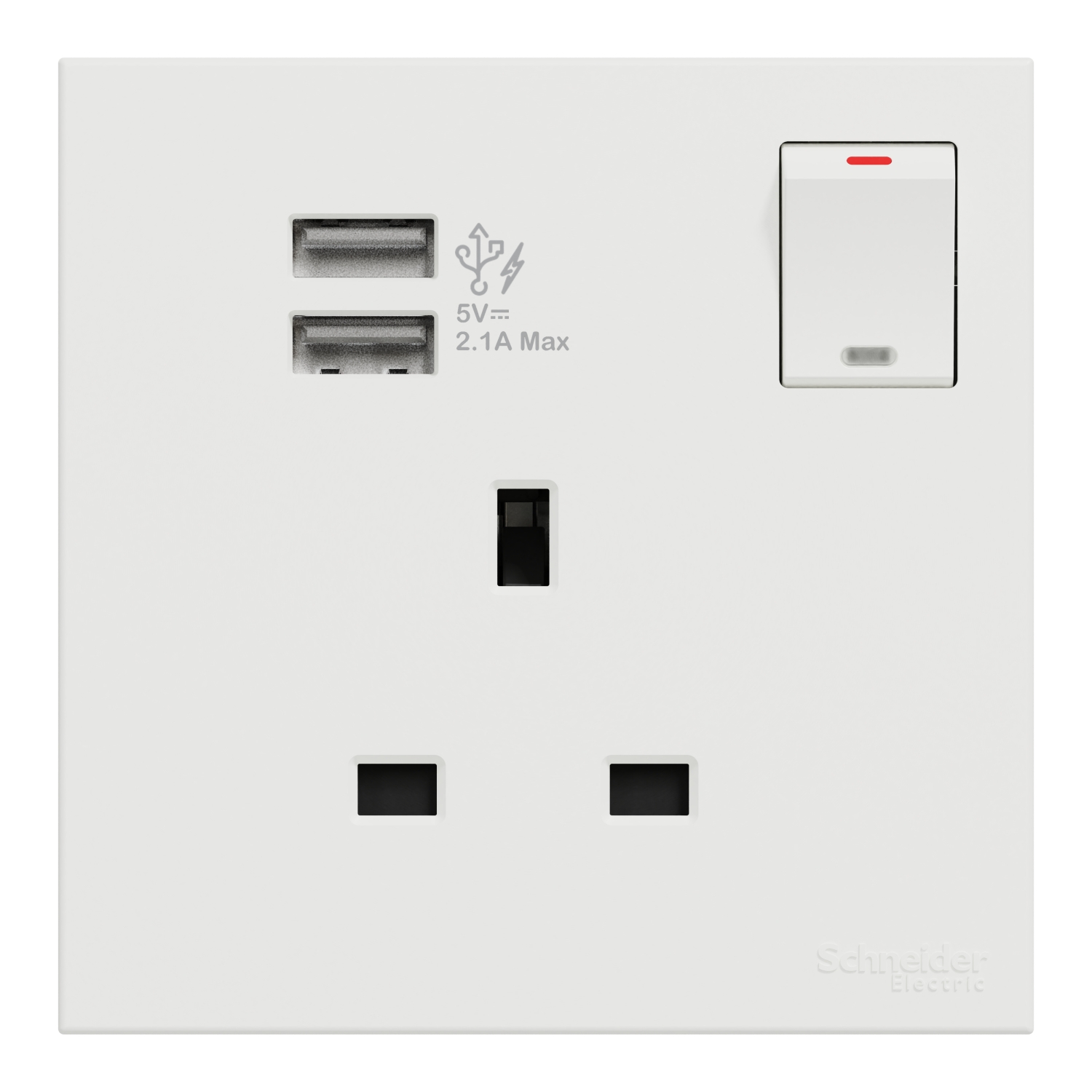 Schneider 施耐德 AvatarOn C 奐然 13A 單位連保護門有掣插座連兩位USB充電插座(搪瓷白)