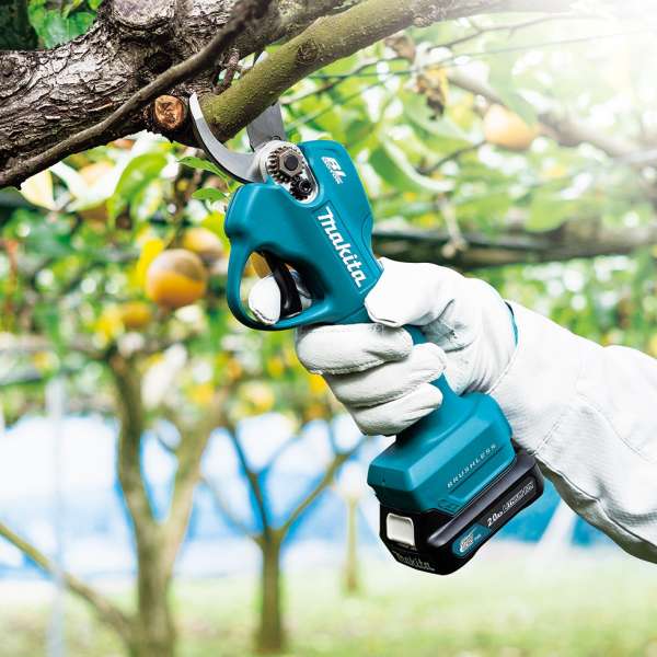 操作員在果園中以 Makita UP100DZ 充電式修枝電剪單手修剪果樹枝條