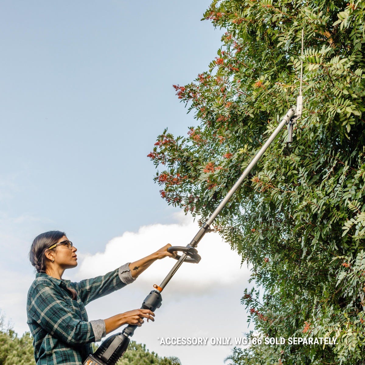 WORX WA0220 pole hedge trimmer attachment trimming high branches