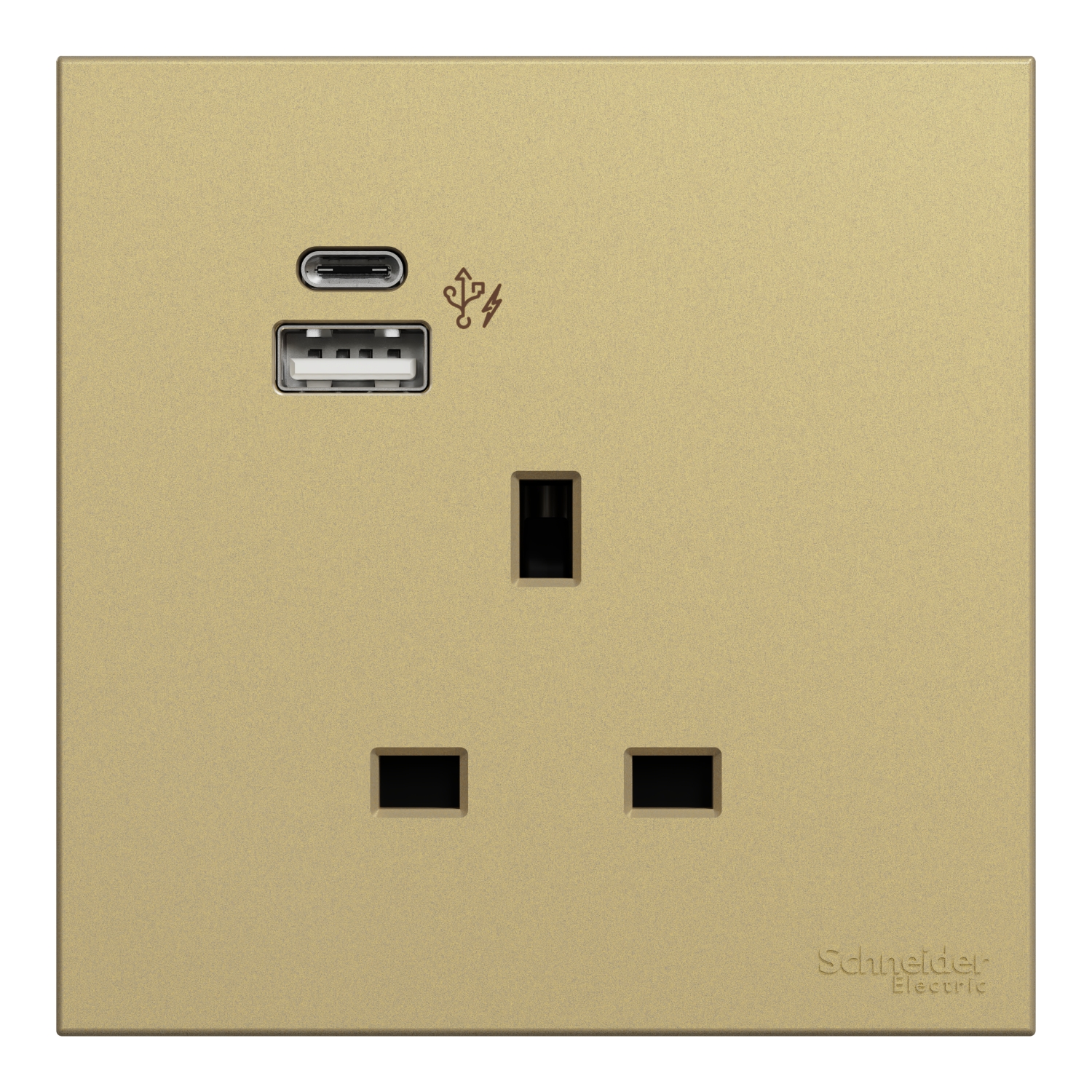 Schneider 施耐德 AvatarOn C 奐然 13A 單位連保護門插座連兩位USB充電插座 Type A+C(沉醉金)