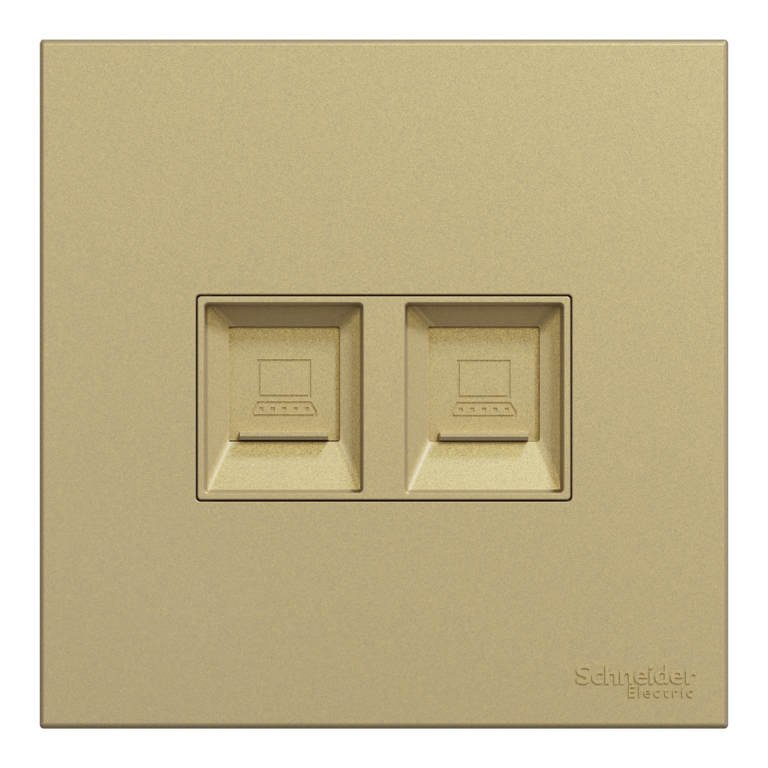 Schneider 施耐德 AvatarOn C 奐然 兩位RJ45 5e類數據插座, Keystone面板備防塵活門(沉醉金)