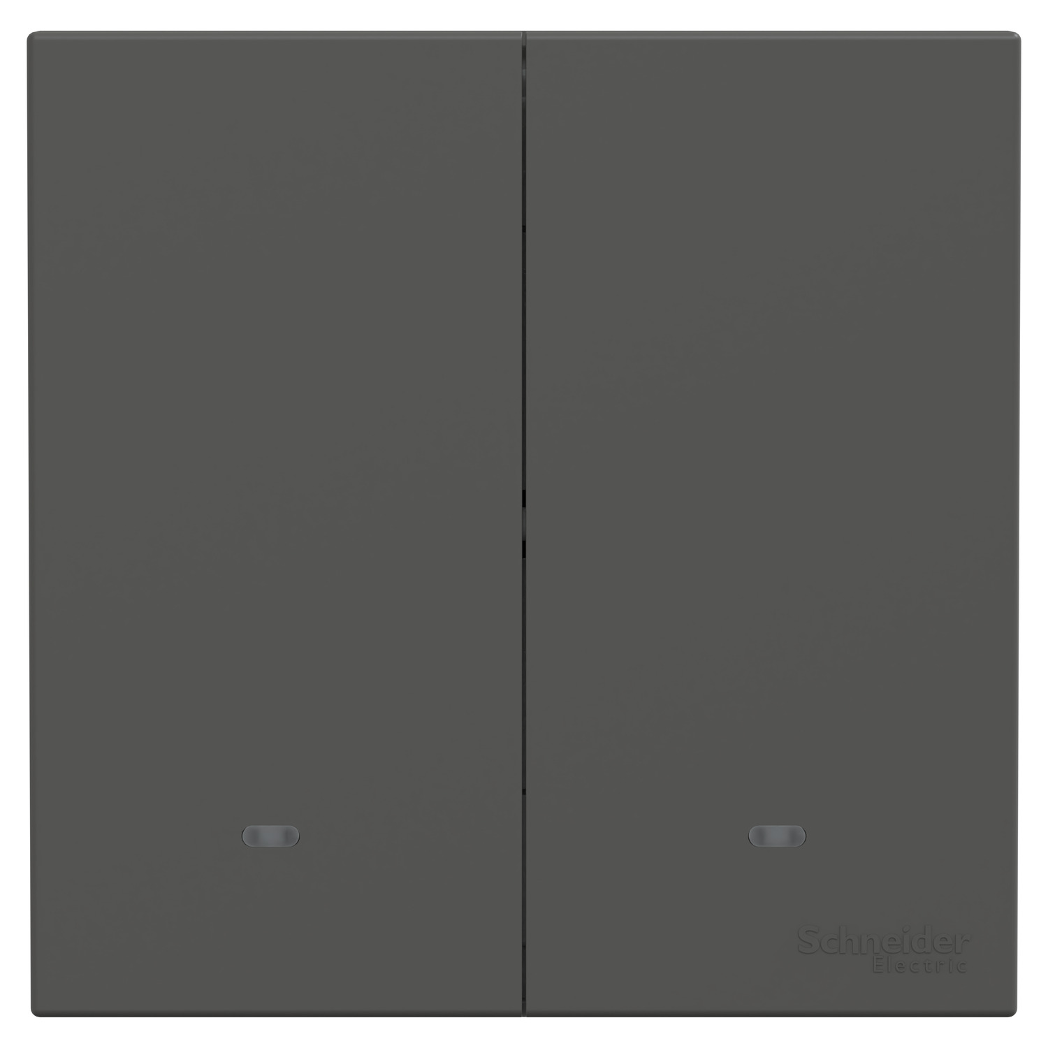 Schneider 施耐德 AvatarOn C 奐然 10A 兩位復位掣(石墨灰)