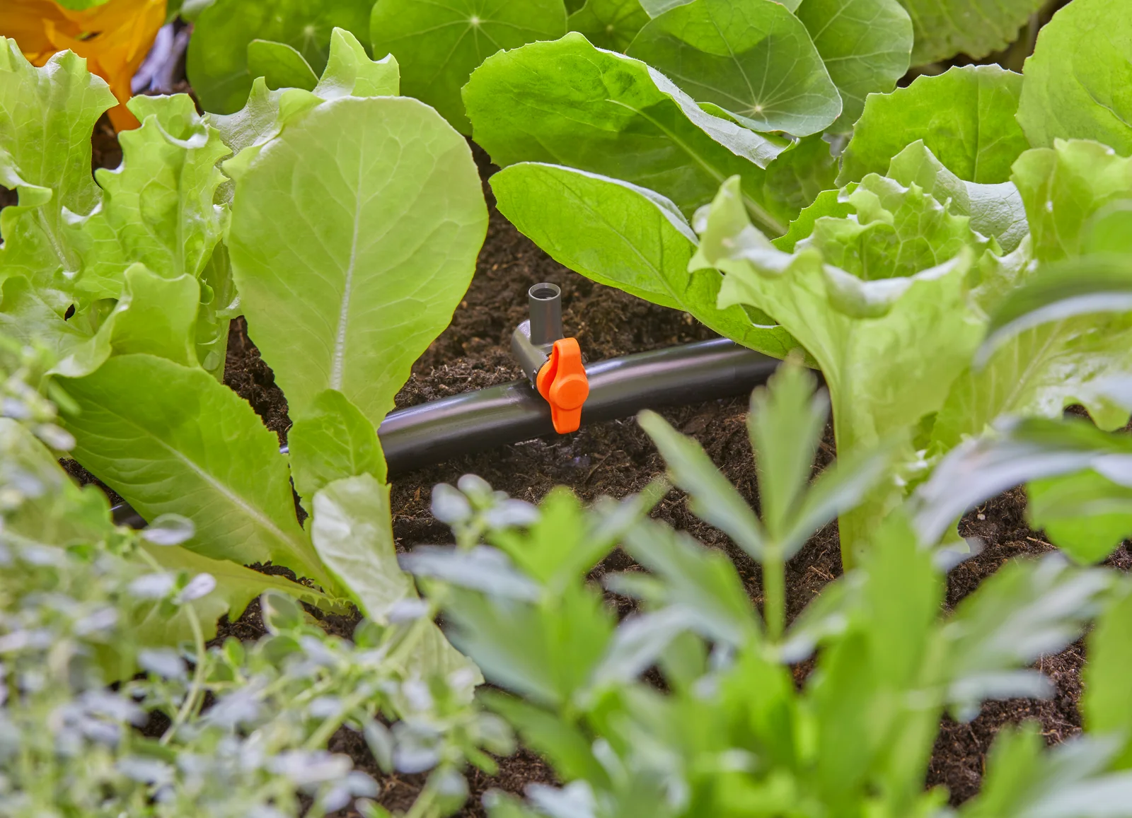 GARDENA 13231-20 調節閥安裝於 Micro-Drip-System 管路