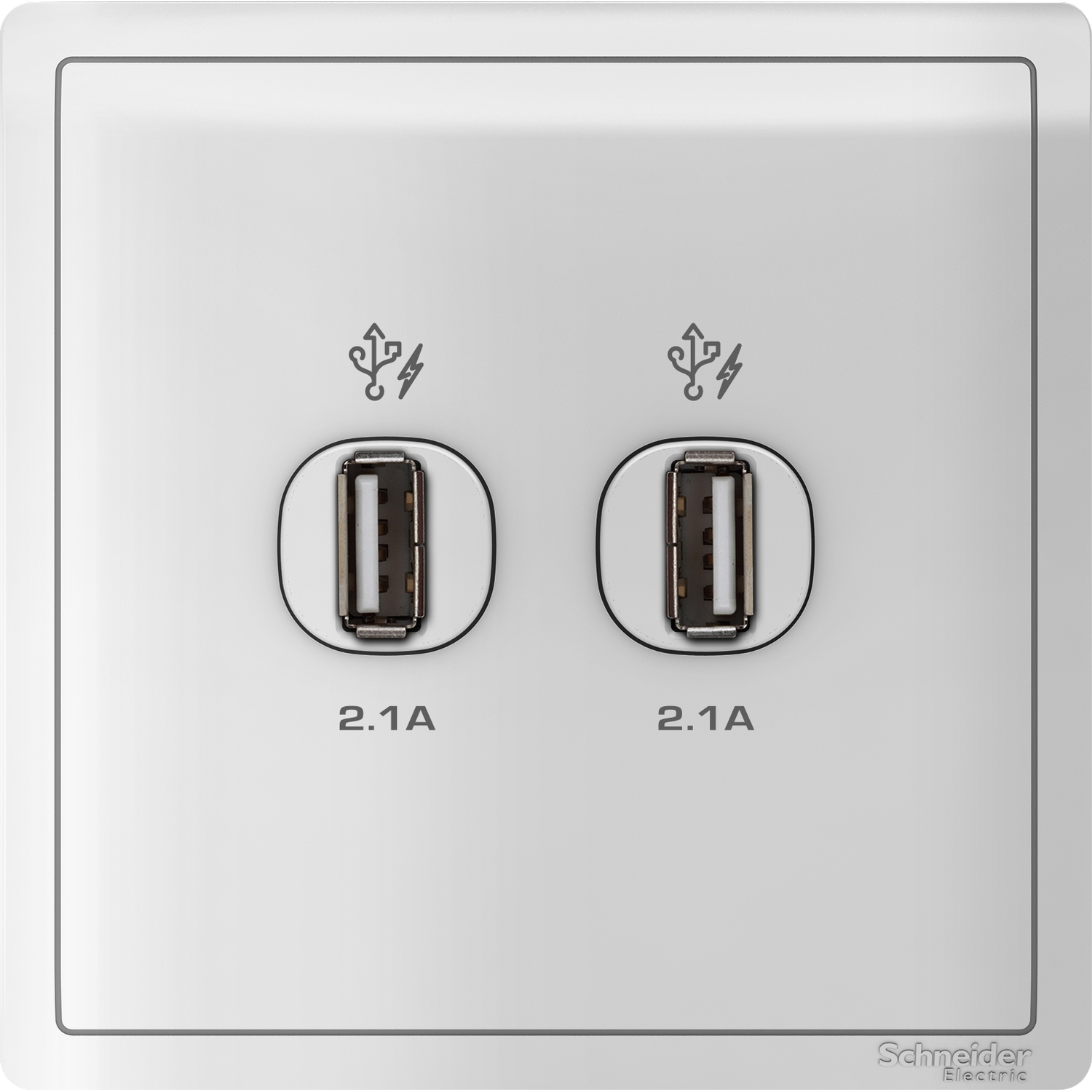 Schneider 施耐德 Pieno 丰尚 兩位2.1A USB充電插座(白)E8232USB_WE