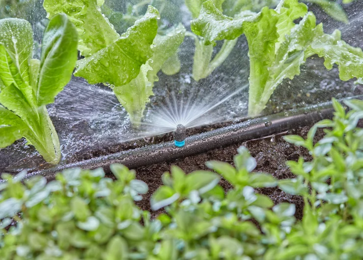 GARDENA 180° 微滴灌噴嘴於菜圃灑水